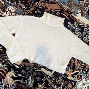 Cropped Turtleneck Sweater (Purchased in the Netherlands 🇳🇱)